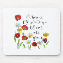 Bloom mit grace-Poppy-Blume
