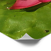 Bloom Poster (Ecke)