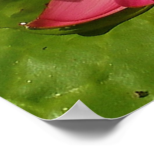 Bloom Poster (Ecke)