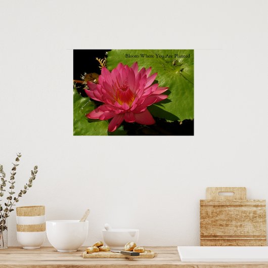 Bloom Poster (Küche)