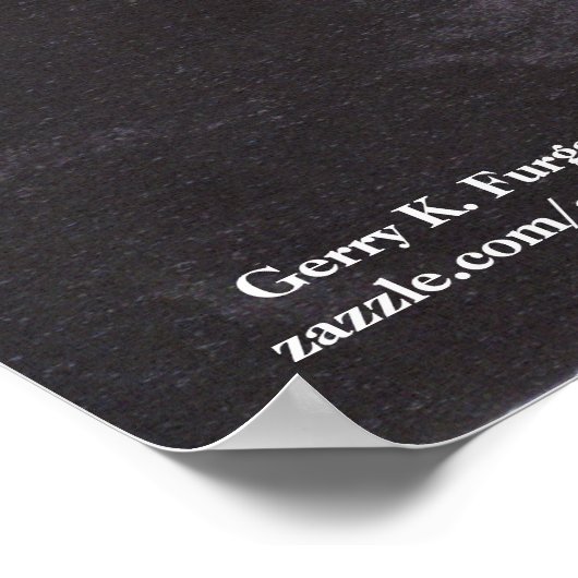 "BLOOM where you are PLANTED" POSTER (Ecke)