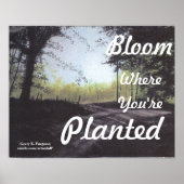 "BLOOM where you are PLANTED" POSTER (Vorne)