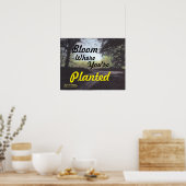 "BLOOM where you are PLANTED" POSTER (Küche)