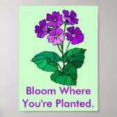 Bloom, wo du Planet bist Poster (Vorne)
