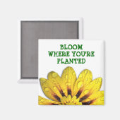Bloom, wo du Planted Magnet bist (Vorderseite/Rückseite)
