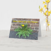 Bloom wo Sie gepflanzt sind Löwenzahn-Foto Karte (Gelbe Blume)