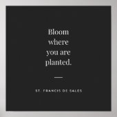 Bloom, wo Sie gepflanzt St Francis de Sales Poster (Vorne)