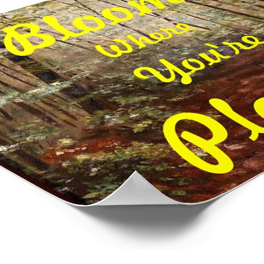 "BLOOM WO SIE PLANEN" POSTER (Ecke)