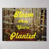 "BLOOM WO SIE PLANEN" POSTER (Vorne)