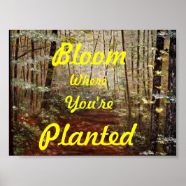"BLOOM WO SIE PLANEN" POSTER