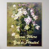 "BLOOM WO SIE PLANIERTE ROSE SIND" POSTER (Vorne)