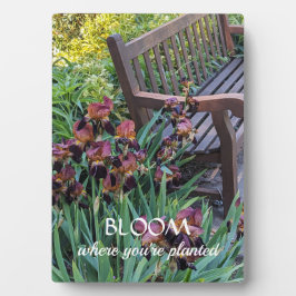 Bloom, wo Sie Zitat mit Iren gepflanzt werden Fotoplatte