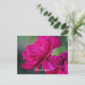 Bloomed Pink Rose Danke, Postcard Postkarte (Stehend Vorderseite)