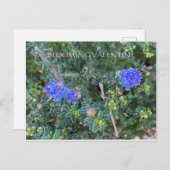 BLOOMIERWERT POSTKARTE (Vorne/Hinten)