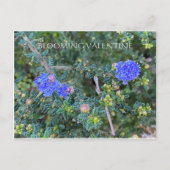 BLOOMIERWERT POSTKARTE (Vorderseite)