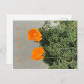 BLOOMIERWERT POSTKARTE (Vorne/Hinten)