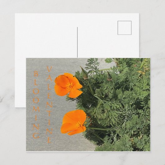 BLOOMIERWERT POSTKARTE (Vorne/Hinten)