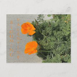 BLOOMIERWERT POSTKARTE