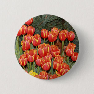 Bloomin' Tulips! Button