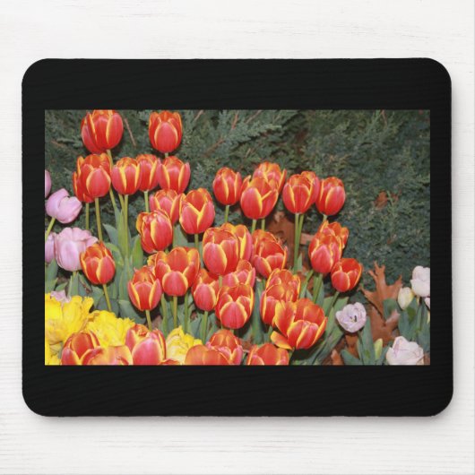 Bloomin' Tulips! Mousepad (Vorne)