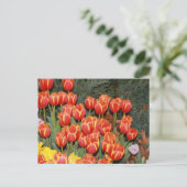Bloomin' Tulips! Postkarte (Stehend Vorderseite)