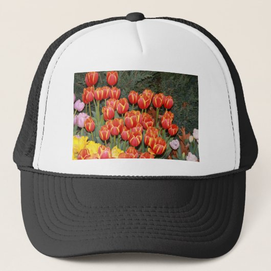 Bloomin' Tulips! Truckerkappe (Vorderseite)