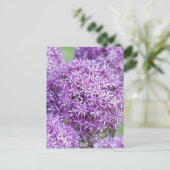 Blooming Allium Blume Postcard Postkarte (Stehend Vorderseite)
