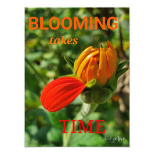 BLOOMING braucht Zeit Fotodruck