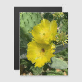 Blooming Cactus Blume Magnet (Vorne/Hinten)