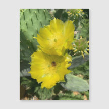 Blooming Cactus Blume Magnet