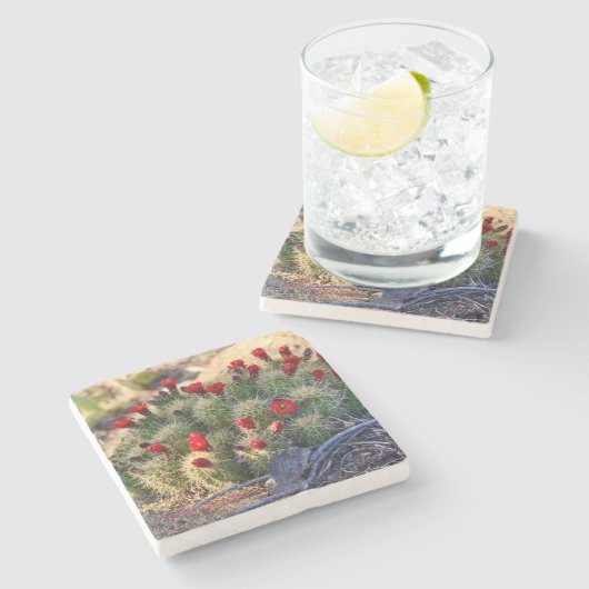 Blooming Cactus photography von Ann Charles Steinuntersetzer (Seitenansicht)