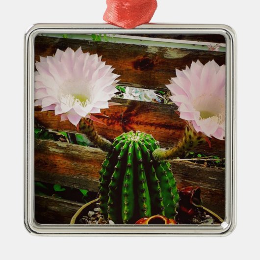 Blooming Cactus #succulent Ornament Aus Metall (Vorne)