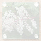 Blooming False Solomon Siegel Pflanze Floral Glasuntersetzer (Rückseite)