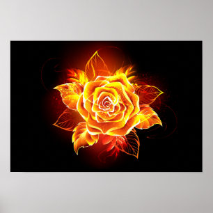 Blooming Fire Rose Poster