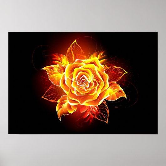 Blooming Fire Rose Poster (Vorne)
