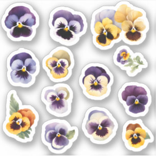 Blooming Happy Stiefmütterchens Blume Sticker Pack