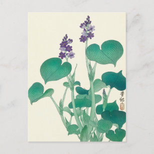 Blooming Hosta Painting von Ohara Koson Postkarte