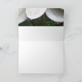 Blooming in Lochmara Bush Grußkarte Karte (Innenseite)