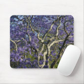 Blooming Jacaranda Trees in New Farm Park, 2 Mousepad (Mit Mouse)