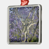 Blooming Jacaranda Trees in New Farm Park, 2 Silbernes Ornament (Links)