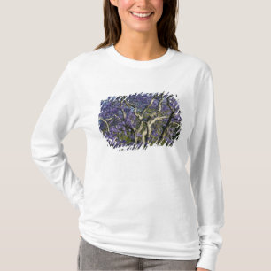 Blooming Jacaranda Trees in New Farm Park, 2 T-Shirt