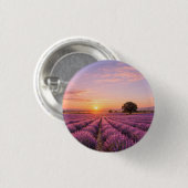 Blooming Lavender Field at Golden Sunset Provence Button (Vorne & Hinten)