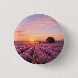 Blooming Lavender Field at Golden Sunset Provence Button