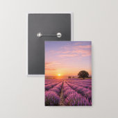 Blooming Lavender Field at Golden Sunset Provence Button (Vorderseite/Rückseite)