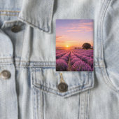 Blooming Lavender Field at Golden Sunset Provence Button (Insitu)