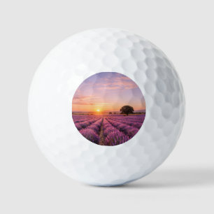 Blooming Lavender Field at Golden Sunset Provence  Golfball