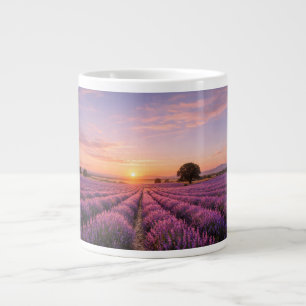 Blooming Lavender Field at Golden Sunset Provence  Jumbo-Tasse
