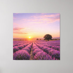 Blooming Lavender Field at Golden Sunset Provence Leinwanddruck