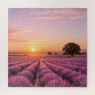 Blooming Lavender Field at Golden Sunset Provence Puzzle