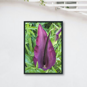 Blooming Lila Dragon Lily Floral Fotodruck